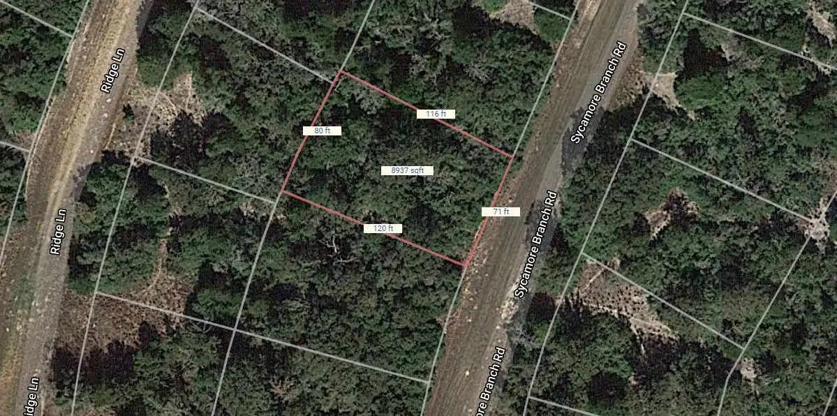 Lot 3 Sycamore Branch Road, Normangee, TX 77871 - Image #1