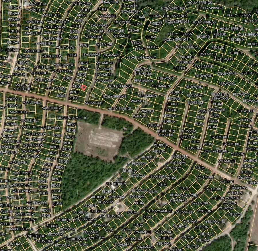 Lot 3 Sycamore Branch Road, Normangee, TX 77871 - Image #2