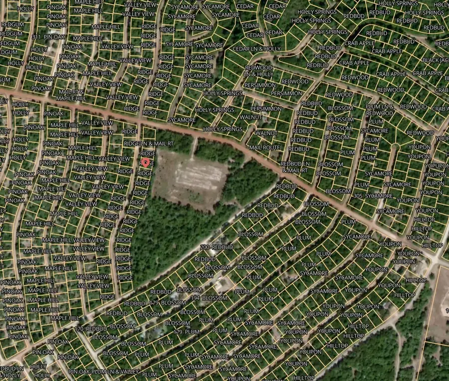 Lot 4 Ridge Lane, Normangee, TX 77871 - #2