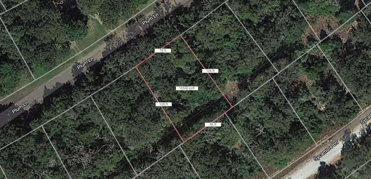 Lot 53 Plum Lane, Normangee, TX 77871 - #1