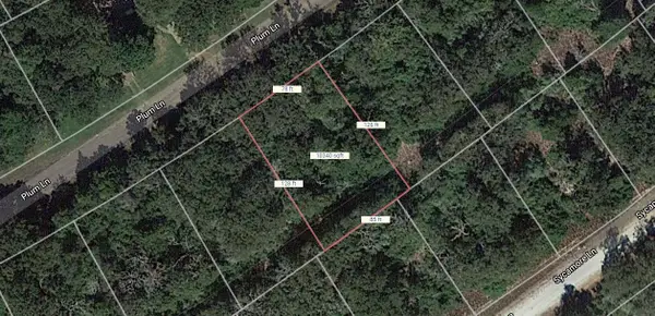 Lot 53 Plum Lane, Normangee, TX 77871