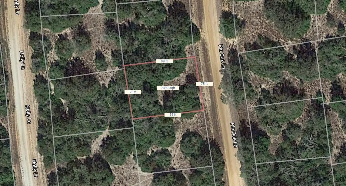 Lot 20 Pin Oak, Normangee, TX 77871 - Image #1
