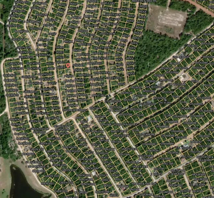 Lot 20 Pin Oak, Normangee, TX 77871 - Image #2