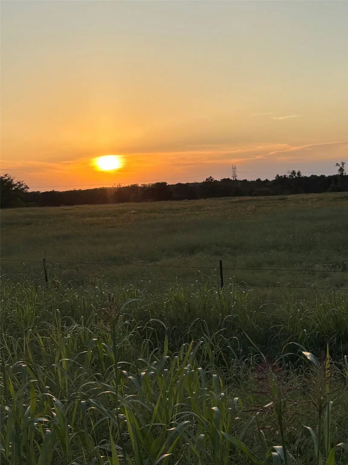 0000 Fm 2293, Bremond, TX 76629 - Image #1