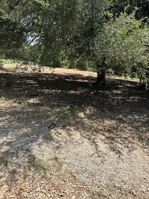#3