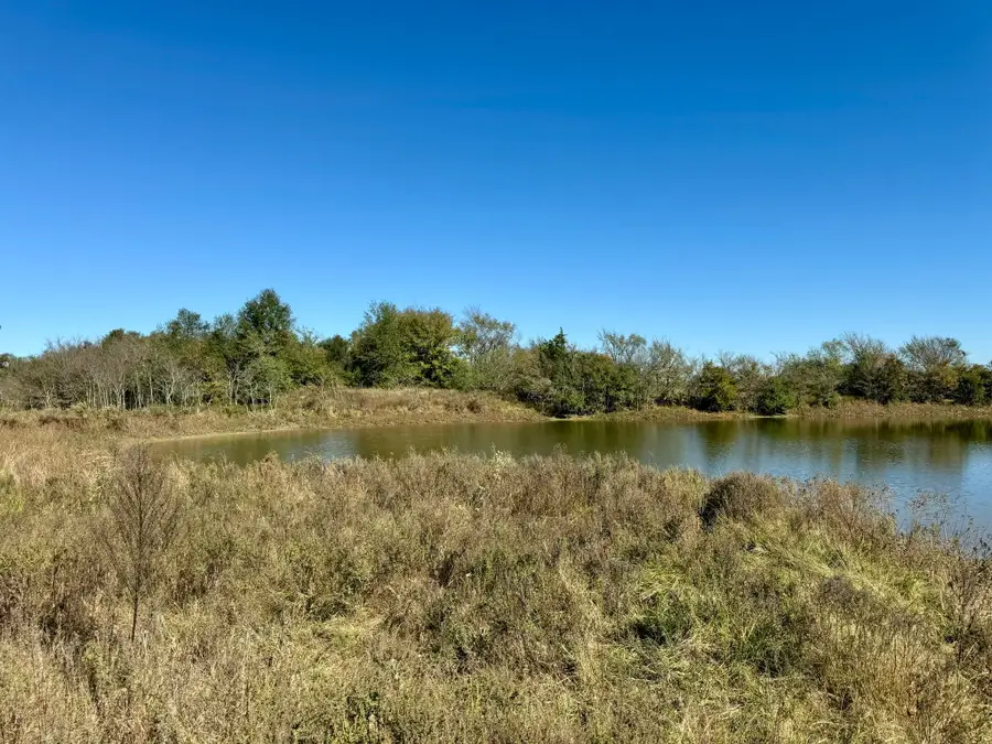 90+/- Acres Turner, Franklin, TX 77856 - Image #3