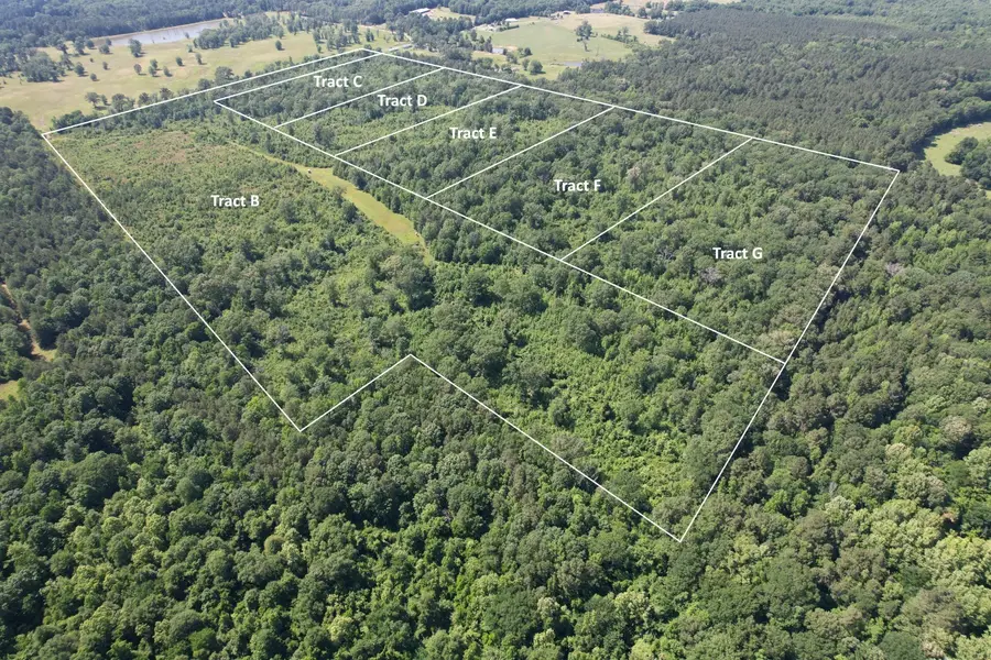 TBD-F County Road 4021, Timpson, TX 75975 - Image #2