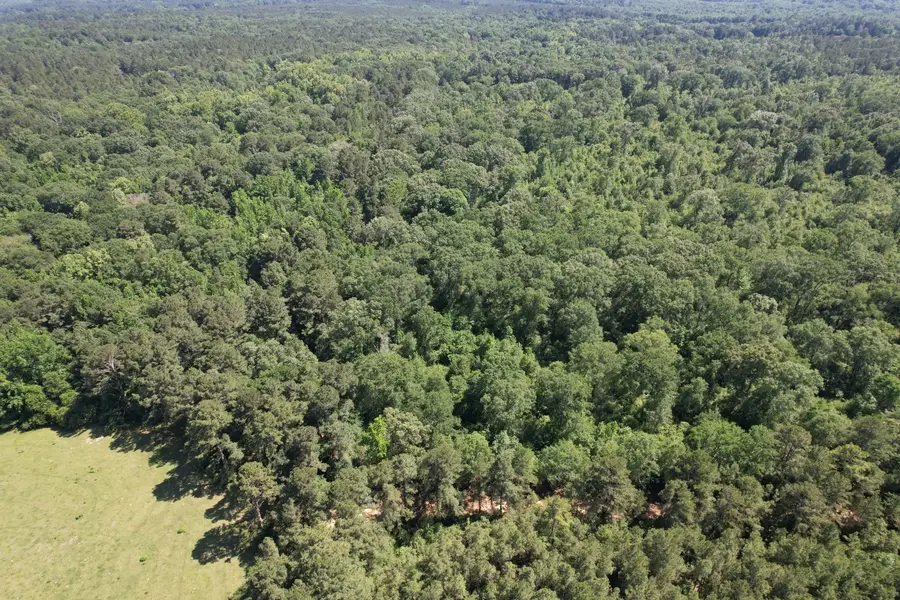 TBD-G County Road 4021, Timpson, TX 75975 - Image #3