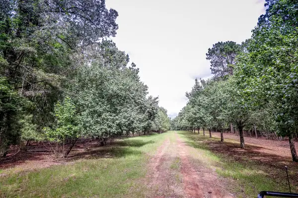 2188 Harkins Lane, Marshall, TX 75672