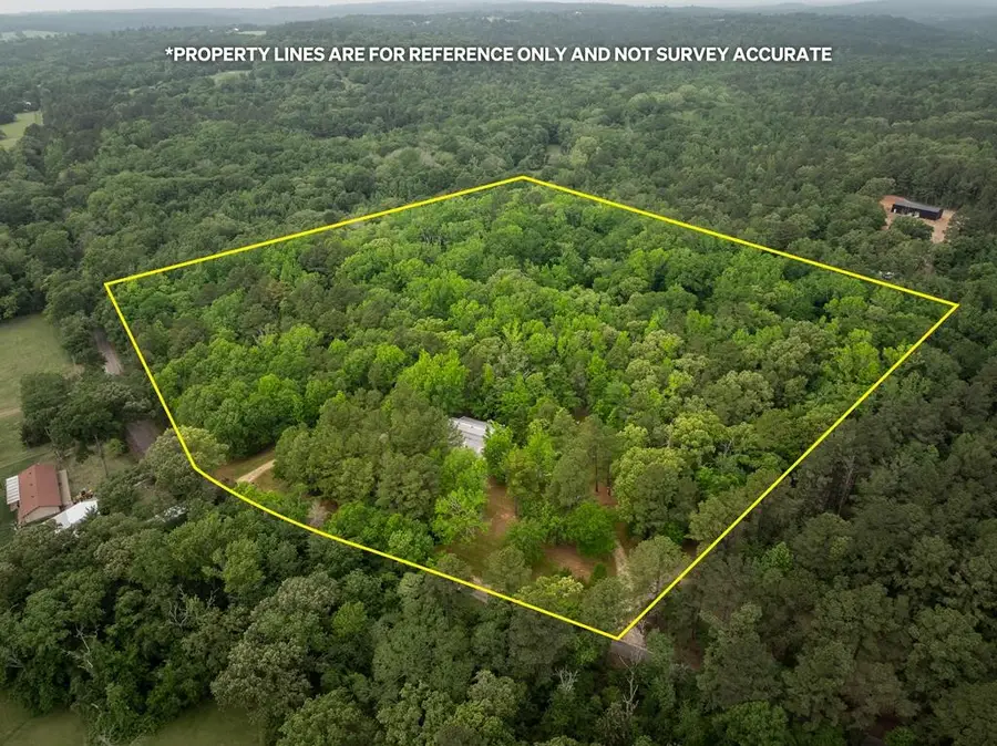 127 An County Road 4480, Palestine, TX 75803 - Image #2