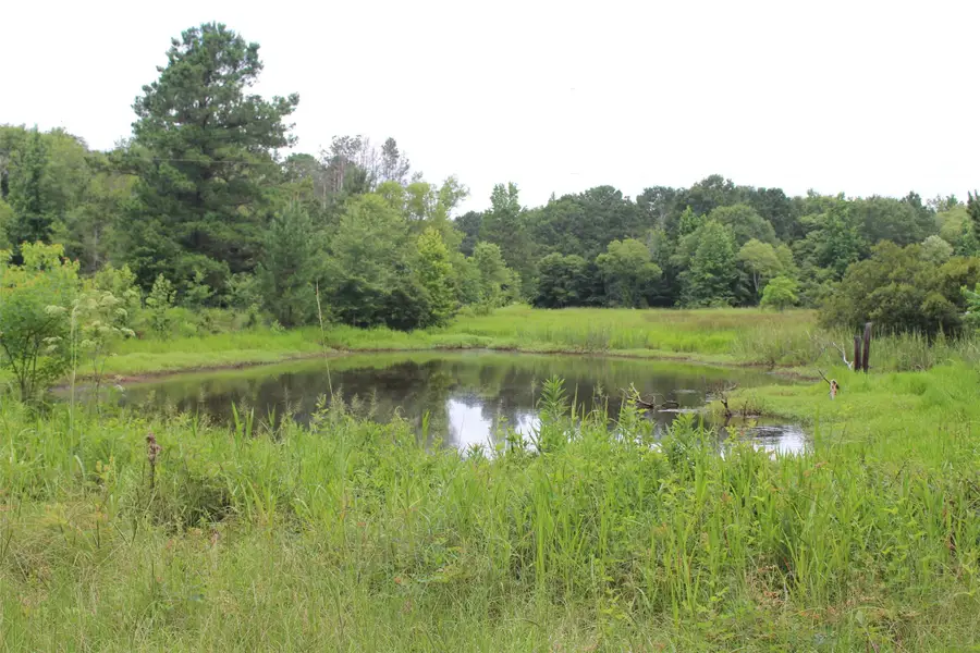 18.17 acres Cr 1190, Grapeland, TX 75844 - Image #2