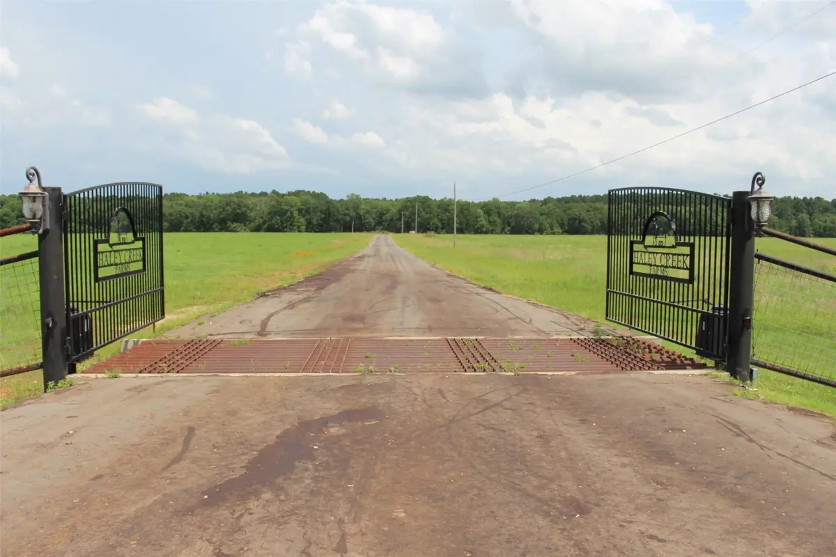 Tract 88 Private Road 2315, Centerville, TX 75833 - Image #1