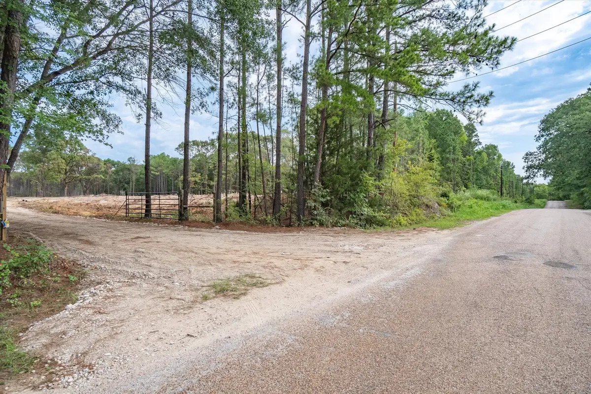 19451 County Road 4307 Road, Larue, TX 75770 - #1