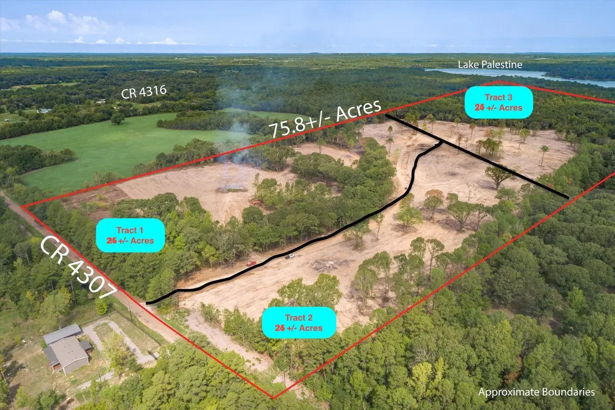 Tract 2 - TBD County Road 4307, Larue, TX 75770 - #1