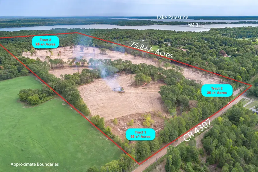 Tract 2 - TBD County Road 4307, Larue, TX 75770 - #2