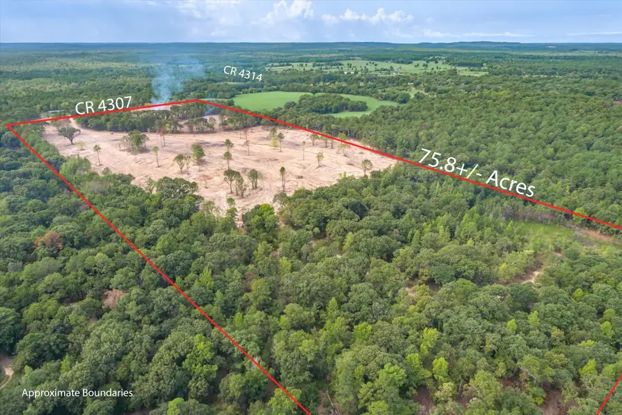Tract 2 - TBD County Road 4307, Larue, TX 75770 - #3