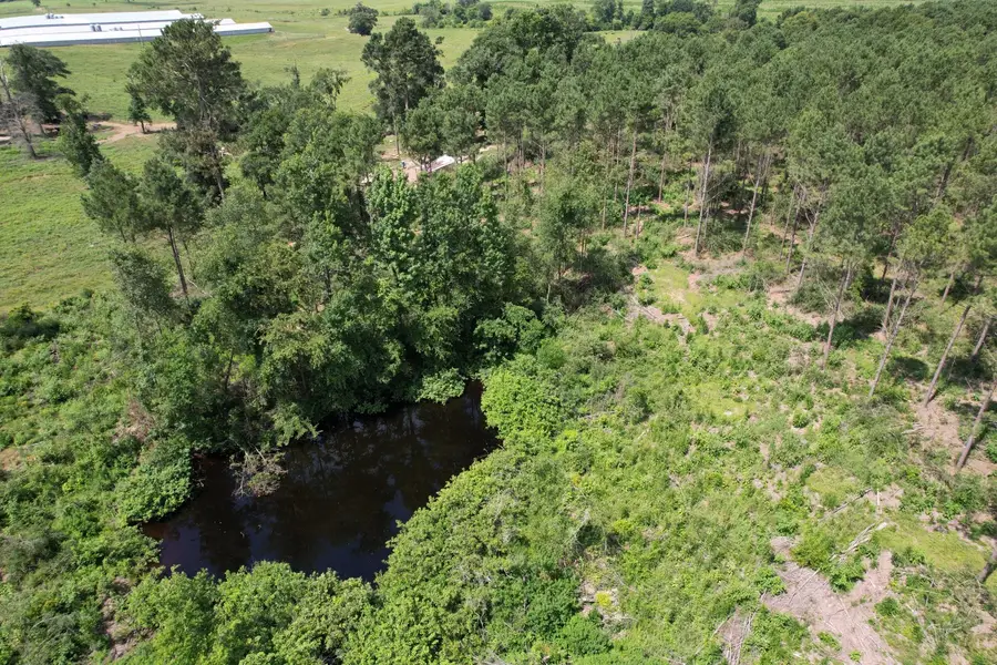 TBD County Road 3706, Tenaha, TX 75974 - #2