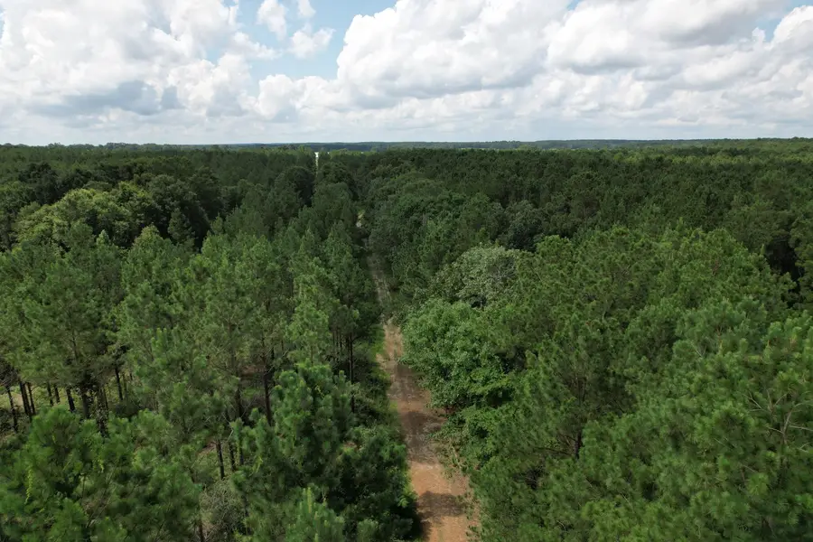 TBD County Road 3706, Tenaha, TX 75974 - #3