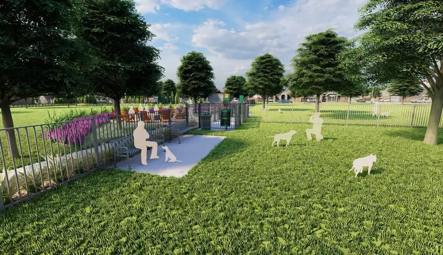 1108 Broomsedge Mews, Celina, TX 75009 - #3