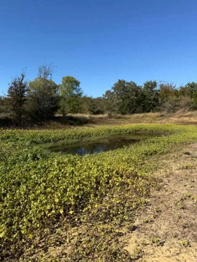 0 S Us-281, Mineral Wells, TX 76067 - Image #3