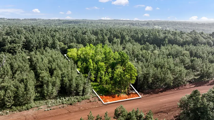 17167 Island Lake Drive, Tyler, TX 75708 - Image #3