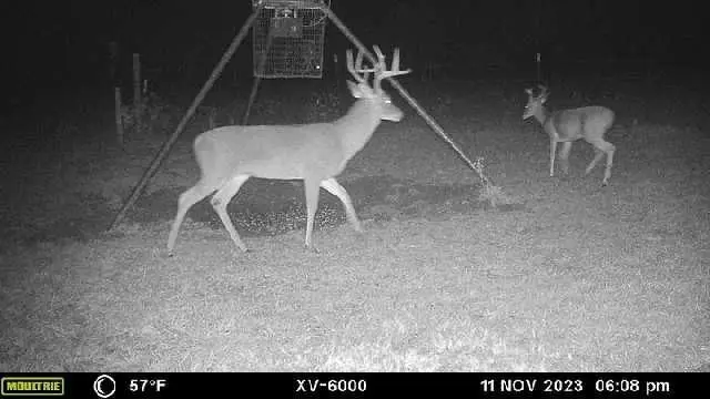 TBD West Caney Road, Normangee, TX 77871 - Image #2