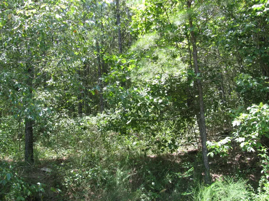 TBD Josee's Journey, Nashoba, OK 74558 - Image #2