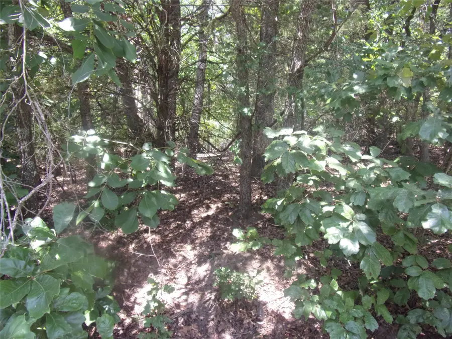 #3