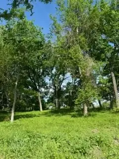 #3