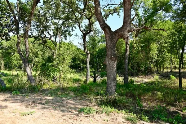 Lot 64 Camden Lane, Springtown, TX 76082