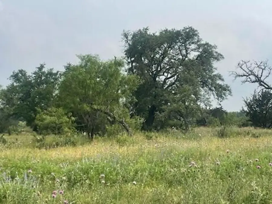 Lot 175 Heartleaf Drive, Lampasas, TX 76550 - Image #3