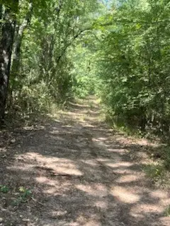#3