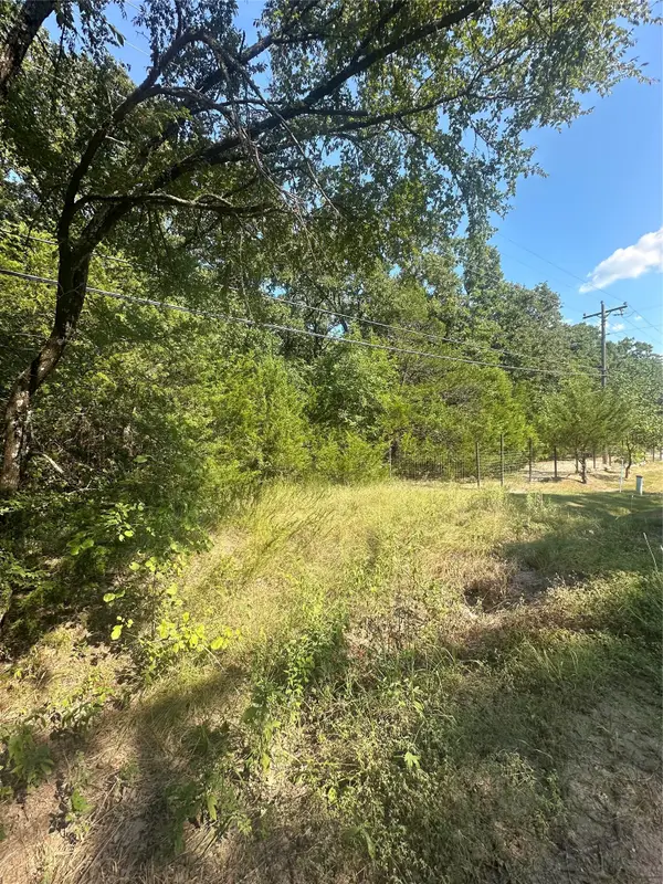 Lots 106-109 Pr 3837, Quinlan, TX 75474