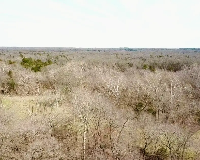#3
