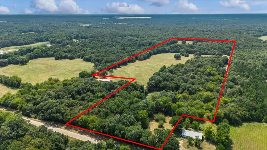 43 Acres Fm 69, Quitman, TX 75783 - #3