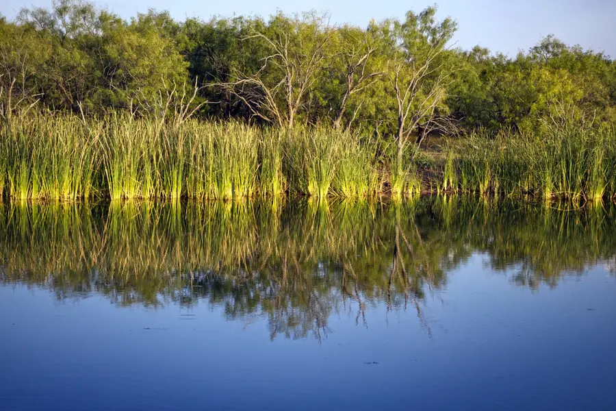 1861 Fm 1974, Graham, TX 76450 - Image #2