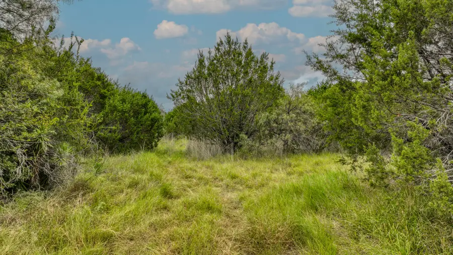 9133 Mcarthur Court, Tolar, TX 76476 - Image #2