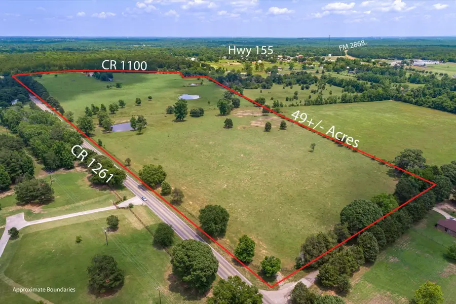 17104 County Road 1100, Flint, TX 75762 - #2