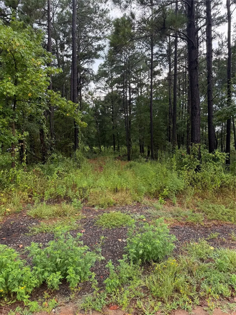 833 Cr 3639, Big Sandy, TX 75755 - Image #2