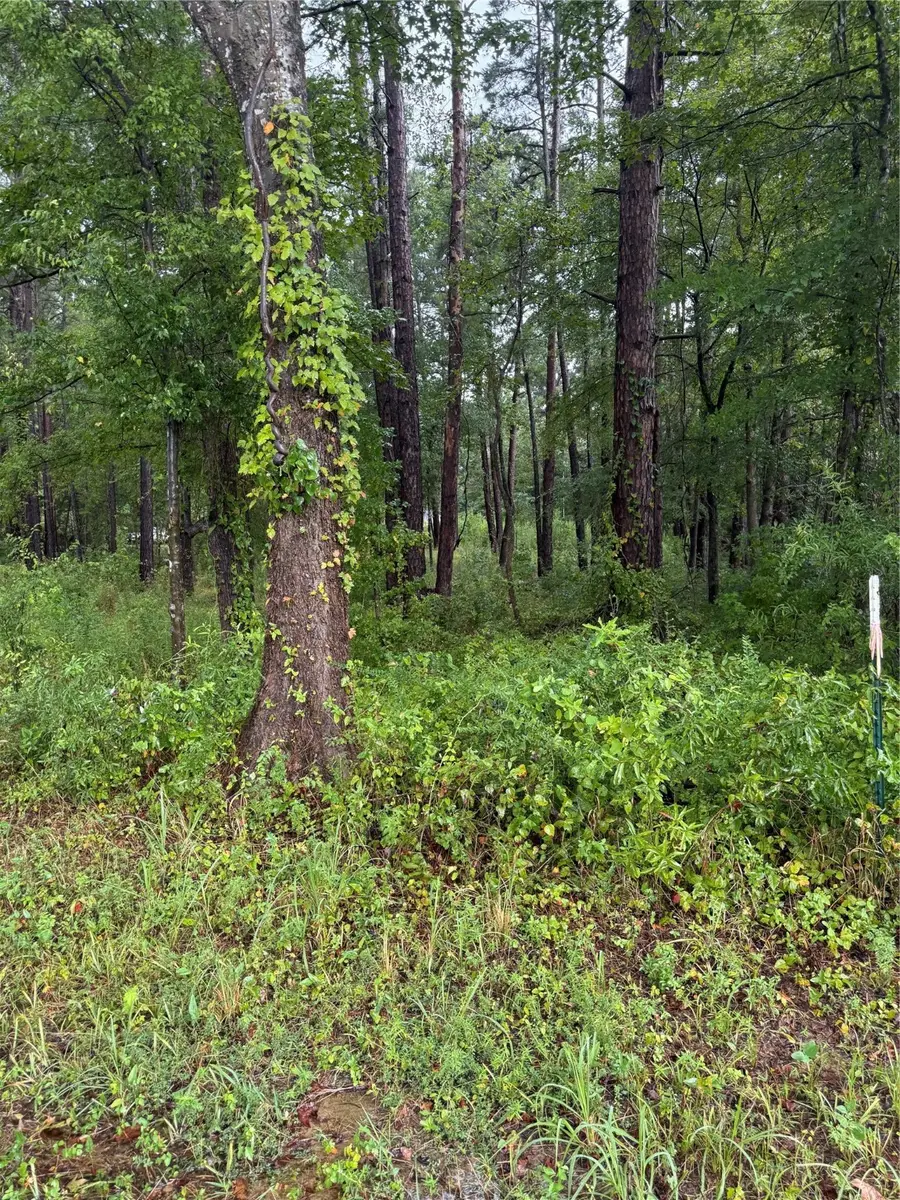 833 Cr 3639, Big Sandy, TX 75755 - Image #3