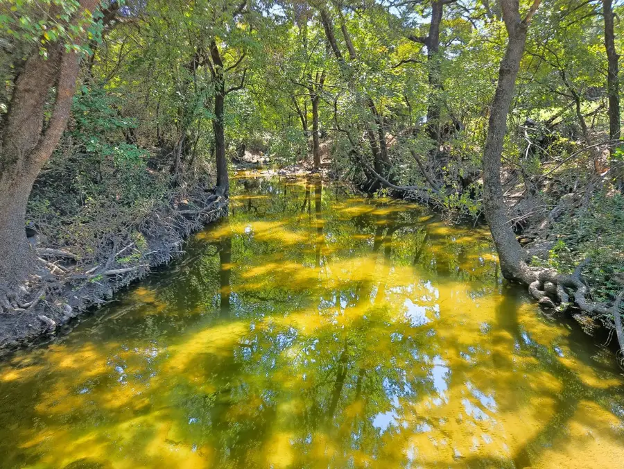 TBD-196.5 acres Fm 116 Road, Gatesville, TX 76528 - Image #3