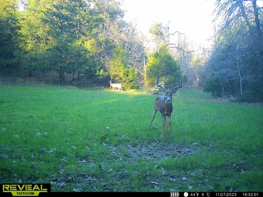 240 Magnolia, Bennington, OK 74723 - Image #2