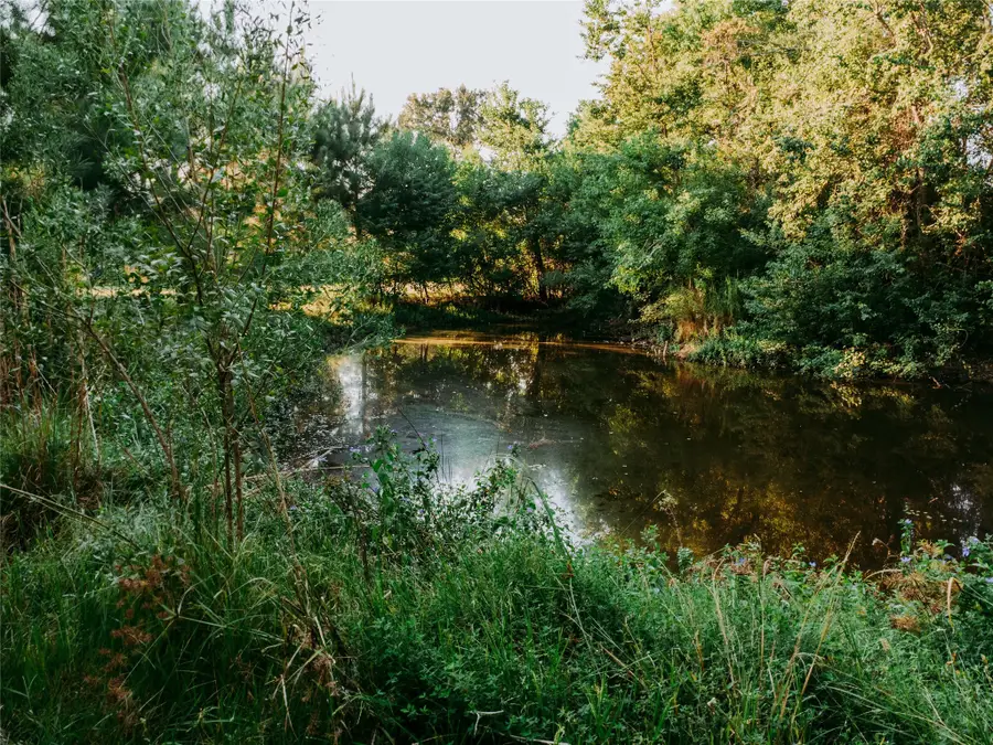 1609 County Road 2626, Wells, TX 75976 - #2