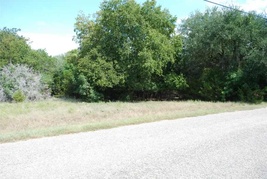 13005 Crestwood Drive, Whitney, TX 76692 - Image #3