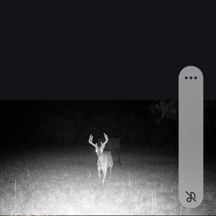 #2
