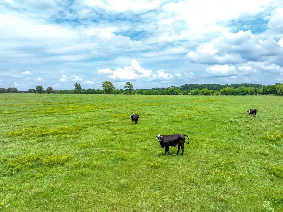 Tract 6 Fm 855, Jacksonville, TX 75766 - #3