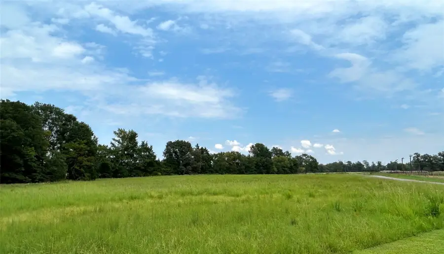 1445 County Road 4450, Winnsboro, TX 75494 - Image #2