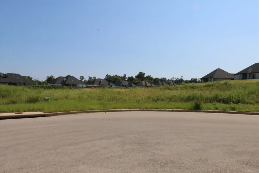 14219 Aliyah Court, Tyler, TX 75703 - Image #3