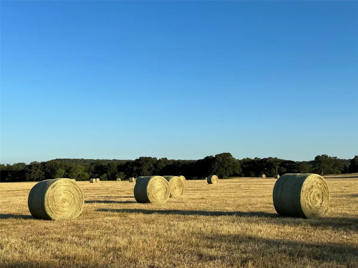 000a Wilson Bend Road, Millsap, TX 76066 - Image #1