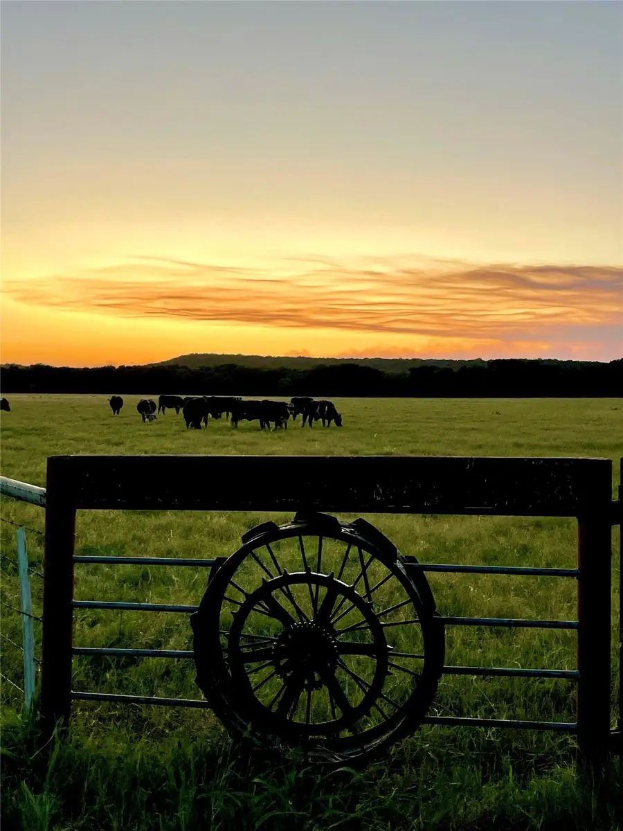 000a Wilson Bend Road, Millsap, TX 76066 - Image #3